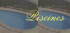 Guide de la piscine (piscinistes, construction de piscines), des spas, abris pour piscines et quipement (robots, aspirateurs, liner, alarmes, chauffage de piscines) sur Web-du-luxe